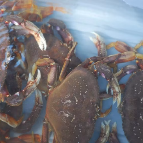 39d096_037a0f0cba0d4cc7a821d260d26bfd8f~mv2