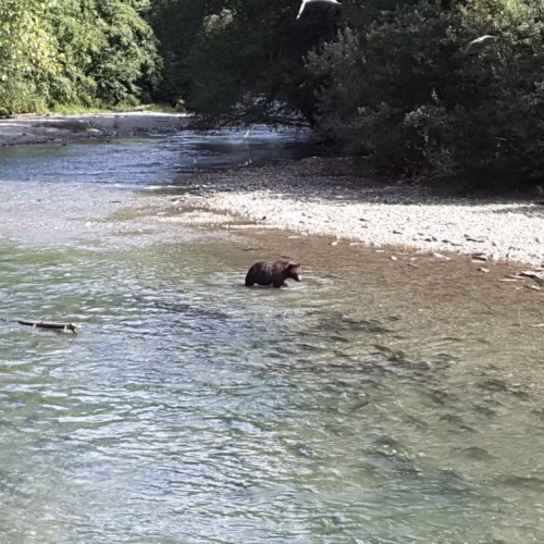 39d096_0914361993094673909c027d886fc8f2~mv2