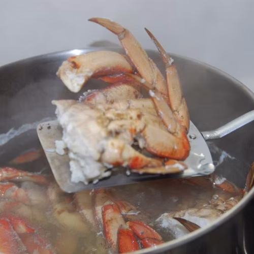 39d096_137a47bde564493ba9d807484bb78dbf~mv2