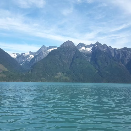 39d096_1c36ce5c114f4228afc3ea163d61f90f~mv2