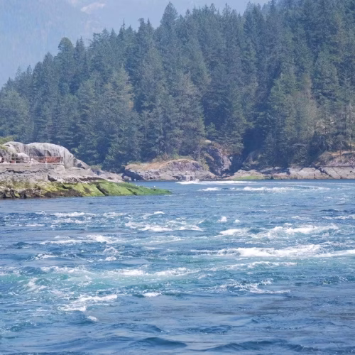 39d096_7115482cdc9b4e8aa15925b5eefecbc9~mv2