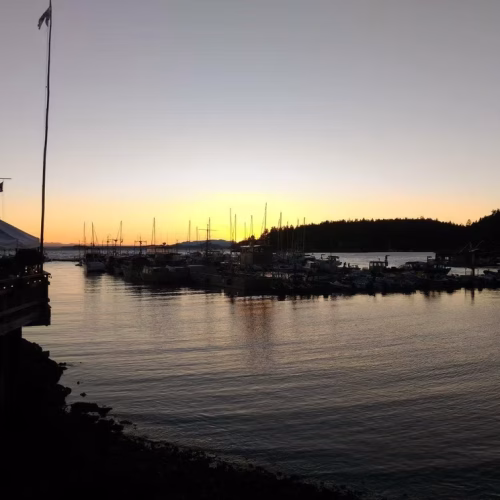 39d096_7123e42708b14cba826ac022e35e7c06~mv2