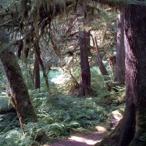 39d096_71db593f1a1a4e9385477ff89998b60d~mv2