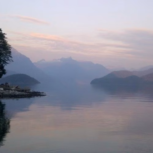 39d096_88ac0c73cd4f4629982a35fa7d6c0ce2~mv2