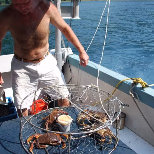 39d096_9d03bc7b1bb843dcac2ecd08945f4ef3~mv2