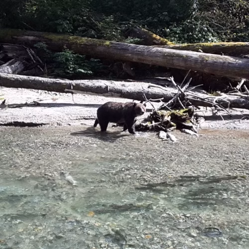 39d096_eceae23ff65e4ed5a8a5f8cb6dc1a21b~mv2