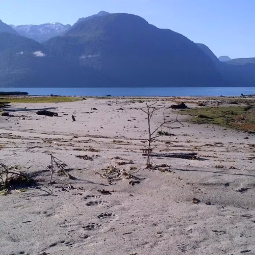 39d096_ef8b9b59c0e04157809ff0d5f678154e~mv2