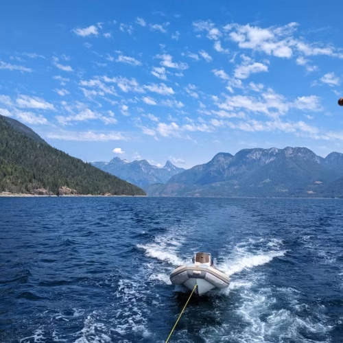 7789b9_3c00f6928a654828b779c43914e77c04~mv2