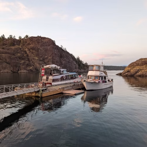 7789b9_dc923f1d480b4400af66d019270f8b0e~mv2