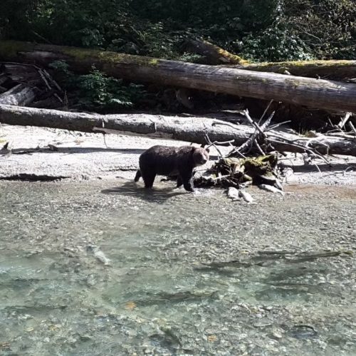 imgi_10_39d096_eceae23ff65e4ed5a8a5f8cb6dc1a21b~mv2