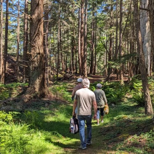 imgi_10_7789b9_e29419eb67c148aaadf0da028e0b3450~mv2