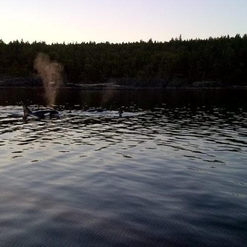 imgi_11_39d096_48f51e54da99414e8293859afe8c147c~mv2_d_2592_1456_s_2