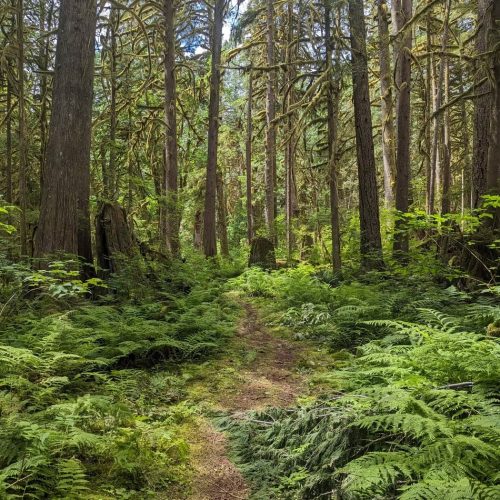 imgi_11_7789b9_b123650e52524271b046ac775d8d6c1d~mv2