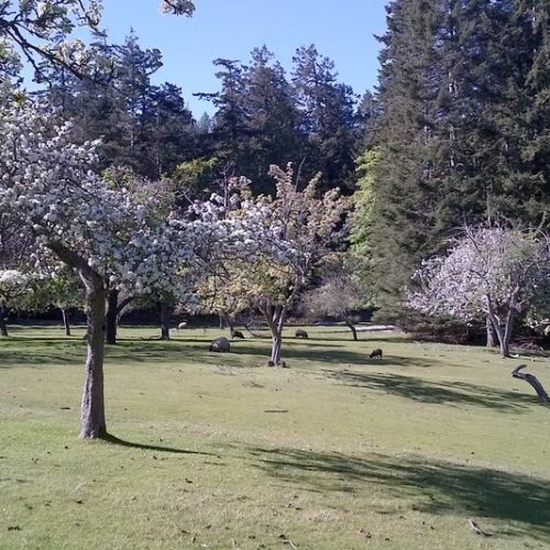 imgi_13_39d096_32a571e48f304ea185319e67ca47d274~mv2_d_2592_1456_s_2