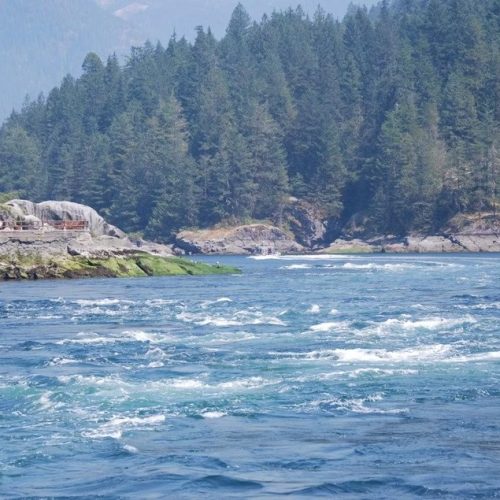 imgi_14_39d096_7115482cdc9b4e8aa15925b5eefecbc9~mv2