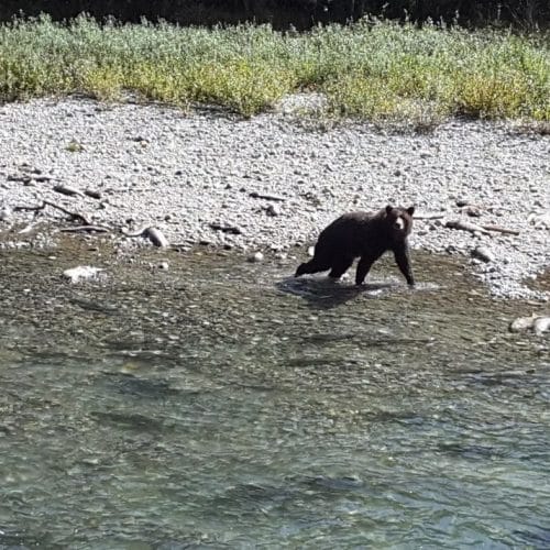 imgi_15_39d096_356d914e0b6144c08bcad7a1f0c01185~mv2