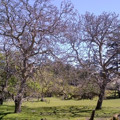 imgi_15_39d096_3d6c1fd12cca42938130fb2f268c85f9~mv2_d_2592_1456_s_2