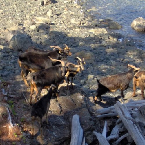 imgi_16_39d096_39ab89fae96c46669fa8d1ccb1939d73~mv2_d_2048_1536_s_2