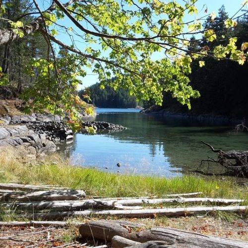 imgi_16_39d096_c6e3b9e8cf4640a4b86b2b2885b229f4~mv2