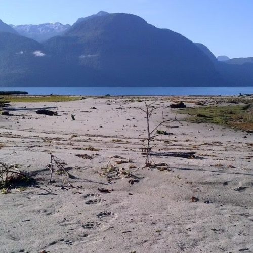 imgi_16_39d096_ef8b9b59c0e04157809ff0d5f678154e~mv2