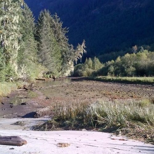 imgi_17_39d096_0bb387c4c41440e98ba5e3fe759083a2~mv2