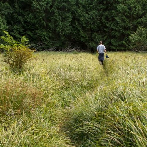 imgi_17_39d096_149b2a486570410c841861df54b1afc0~mv2_d_2592_1728_s_2