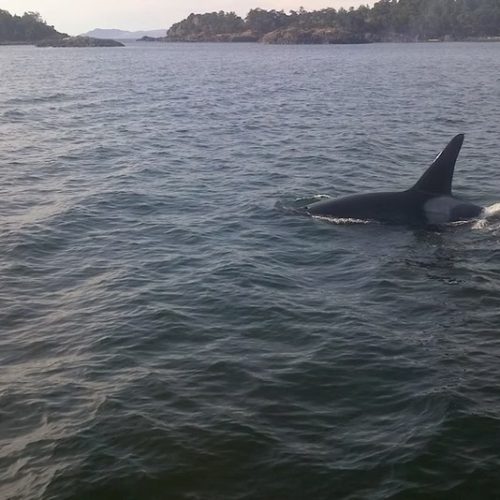 imgi_18_39d096_52cd5ce3452545b7bcf4aed5a831d9cc~mv2_d_2592_1456_s_2