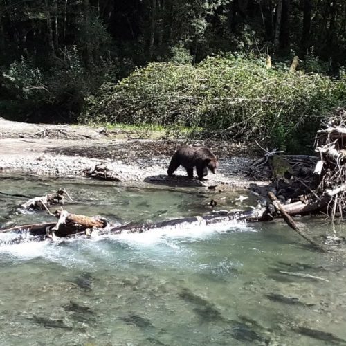 imgi_18_39d096_9c4bc2f75dae4e508cc0f78126b5cec1~mv2