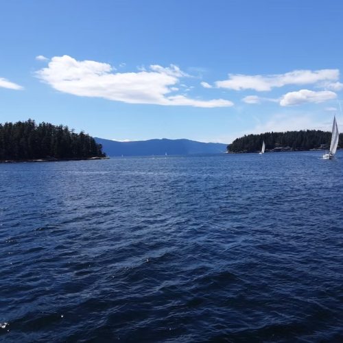 imgi_18_7789b9_7d287e057049445fa654258df26486cf~mv2