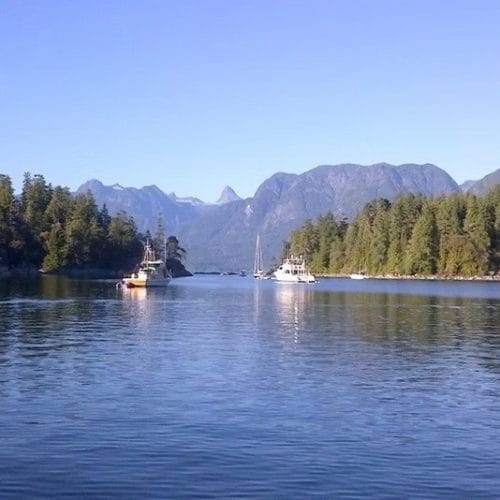 imgi_21_39d096_0fba90944c6b4a41b6fd8b5d1980be61~mv2