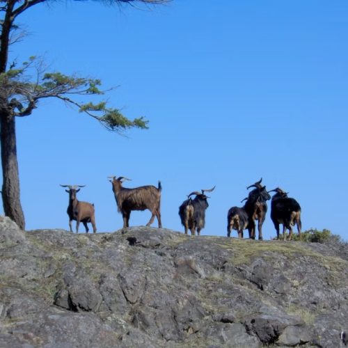 imgi_23_39d096_c4ca5c8b5fc14378bd0fae26d8255162~mv2_d_2048_1536_s_2