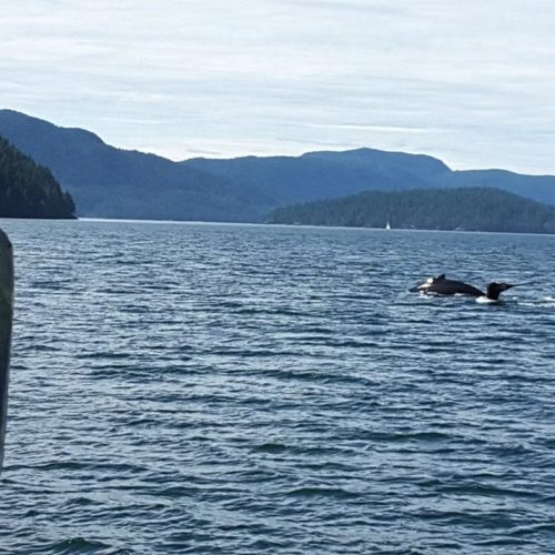 imgi_24_39d096_4defbff89ba549d796db4ea26cfa5a77~mv2