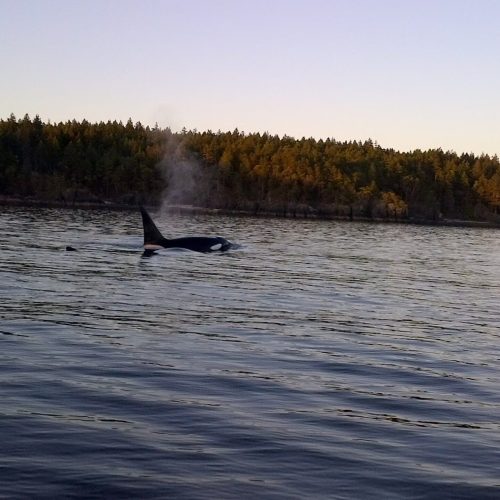 imgi_24_39d096_8f83d92db5e944b9a5c6fb29dddc109f~mv2_d_2592_1456_s_2