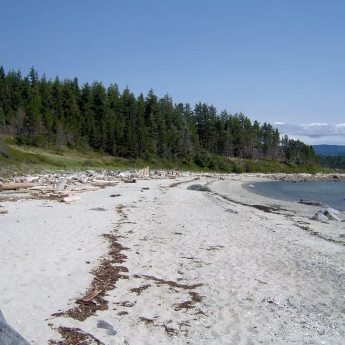 imgi_25_39d096_79d2b56d981c471fbe08564c05823fd3~mv2_d_2048_1536_s_2