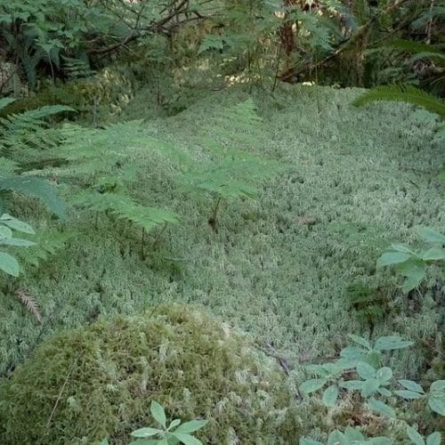 imgi_25_39d096_97b078fd22ec4d9481b3a732135f85b5~mv2