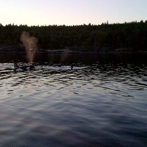 imgi_26_39d096_48f51e54da99414e8293859afe8c147c~mv2_d_2592_1456_s_2