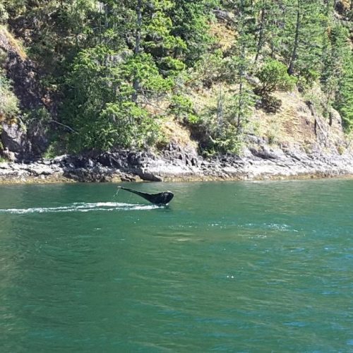 imgi_29_39d096_6fd9215efaca46af931a7e0bb6709d67~mv2