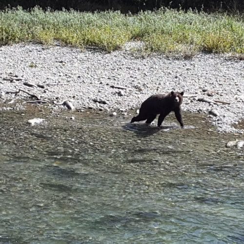 imgi_30_39d096_356d914e0b6144c08bcad7a1f0c01185~mv2