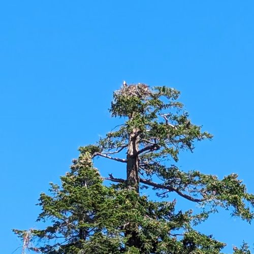 imgi_31_7789b9_e6ed0d893eaa4285a1b9430ee17a4de6~mv2