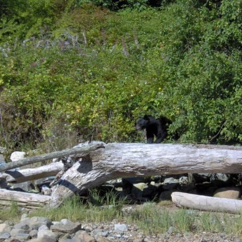 imgi_32_39d096_6fedac85e37f4175b0badfb816953917~mv2_d_2048_1536_s_2