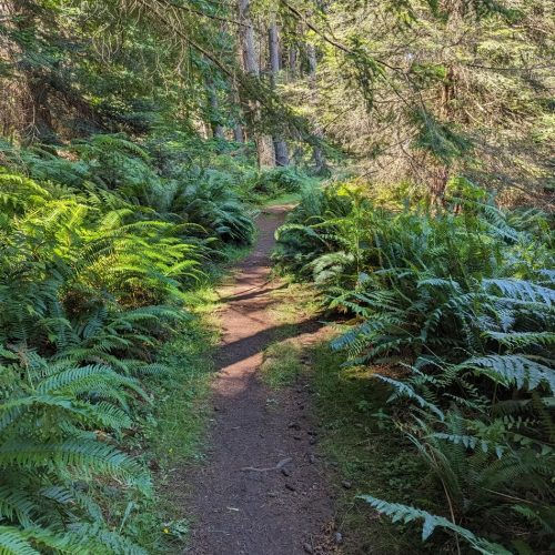 imgi_32_7789b9_3d77e7e27d9641ffa4cc18040b20c801~mv2