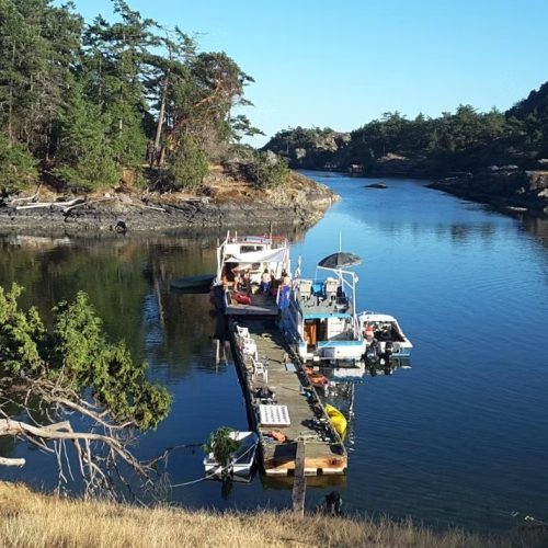 imgi_35_39d096_37748616c10a40d28fe5e7e58d69c4f0~mv2