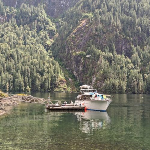 imgi_36_7789b9_b426d3aa2a464878a44ce0747936314e~mv2