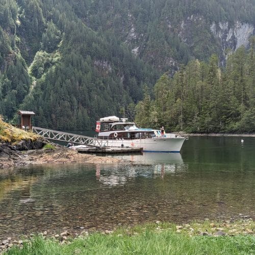 imgi_38_7789b9_cf485cd86bd44679a81d152f8d773980~mv2