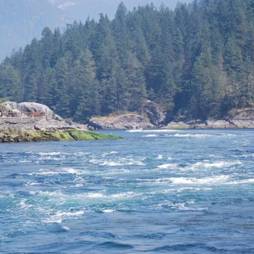 imgi_40_39d096_7115482cdc9b4e8aa15925b5eefecbc9~mv2