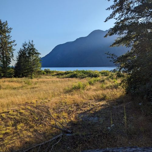 imgi_41_7789b9_2f95e50b7f77405bab5e0d9106925a6f~mv2