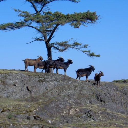 imgi_42_39d096_b756693eb74640d79c432af6fb22f793~mv2_d_2048_1536_s_2