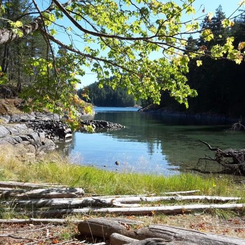 imgi_46_39d096_c6e3b9e8cf4640a4b86b2b2885b229f4~mv2