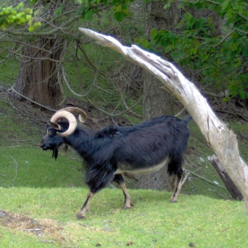 imgi_47_39d096_29d79ef2cb7e4450a39fcc94d5c0d970~mv2_d_2048_1536_s_2