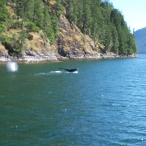 imgi_48_39d096_535afdb7e3ad46a9b0f01d74edbaef3a~mv2